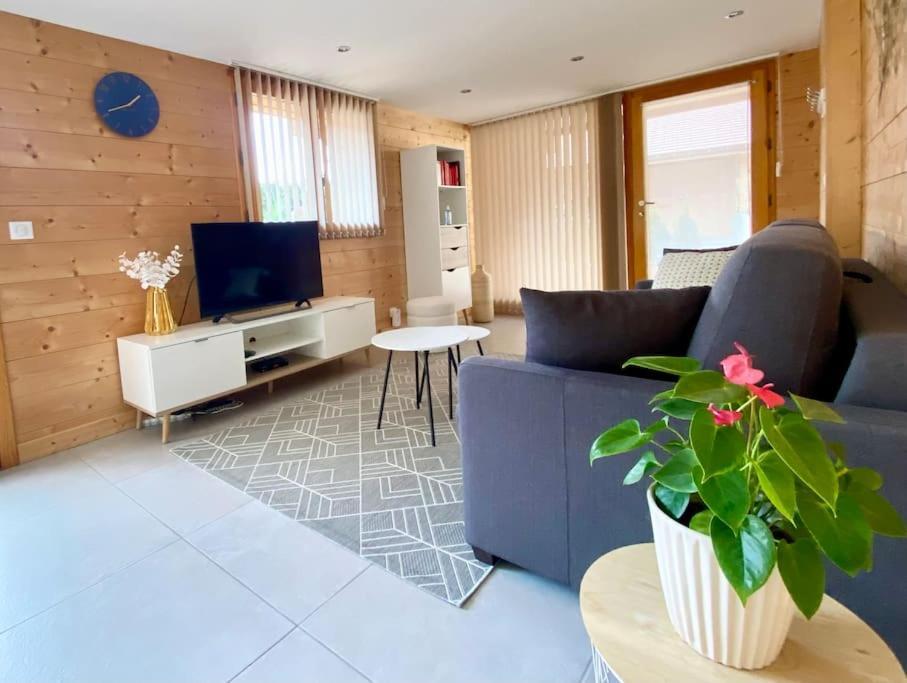 Androsace Appartement Dans Chalet Bois Avec Jacuzzi Privatif Terrasse Et Vue Montagne Les Villards-sur-Thônes Εξωτερικό φωτογραφία
