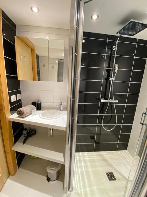 Androsace Appartement Dans Chalet Bois Avec Jacuzzi Privatif Terrasse Et Vue Montagne Les Villards-sur-Thônes Εξωτερικό φωτογραφία